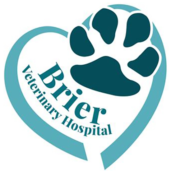 Brier Veterinary Hospital logo