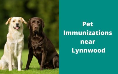 Pet Immunizations near Lynnwood