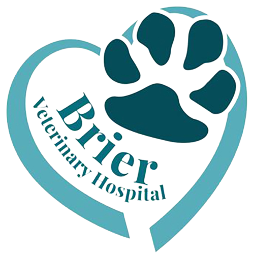 Brier Veterinary Hospital Logo