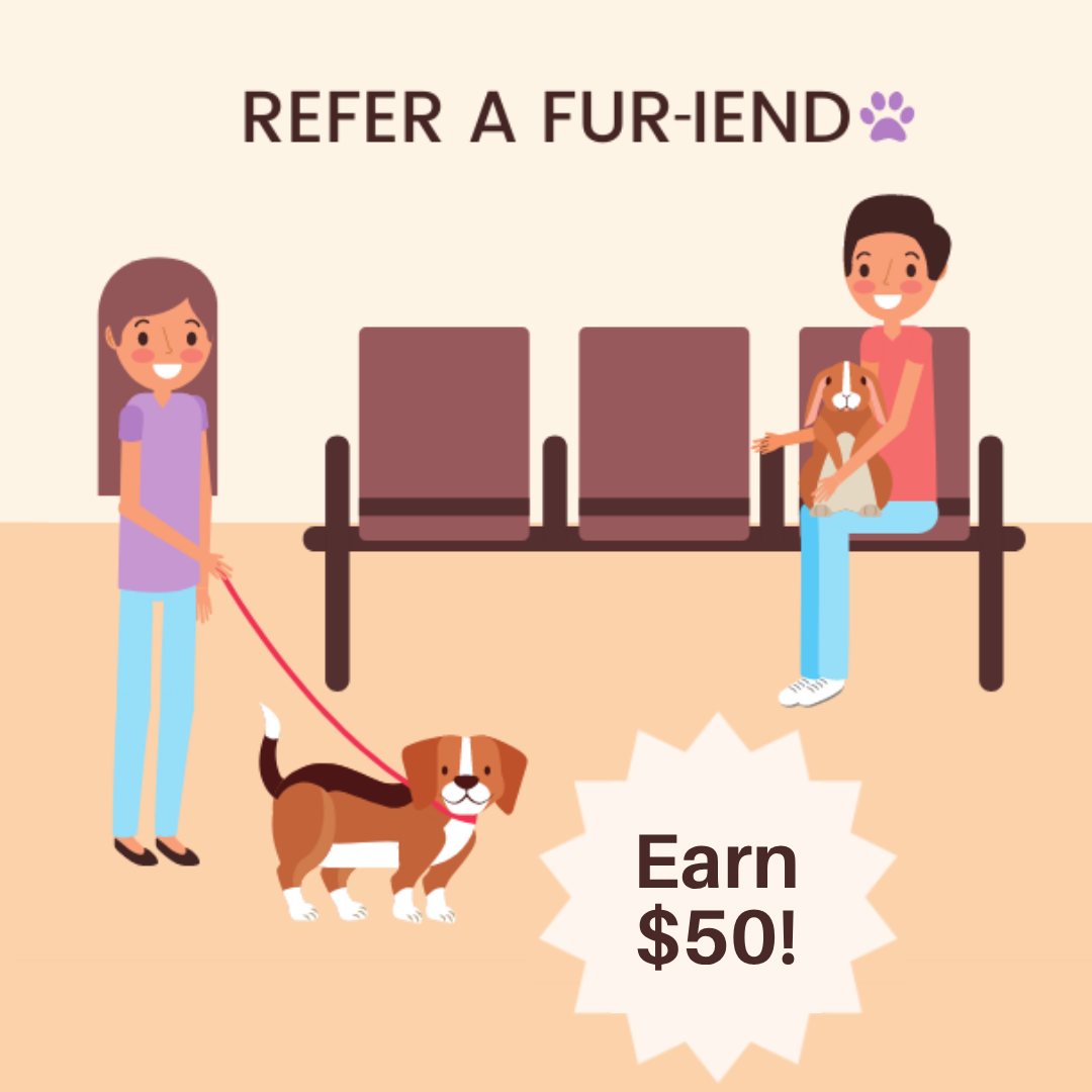 Copy of Touhy Animal Hospital Fur-iends Social Graphics
